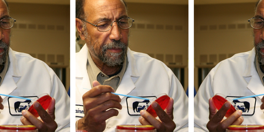 How Effective Is Antibiotic-Loaded Bone Cement, Really?
