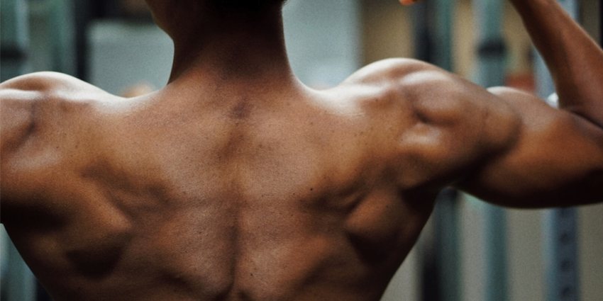 Incomplete Supraspinatus Tear May Not Alter Shoulder Mechanics