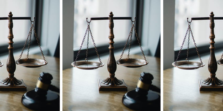 Cartilage Society Wins Again at Court of Appeals