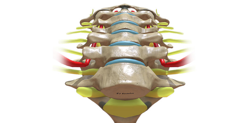 Spine Surgery Site Infections Differ “Dramatically” by Level