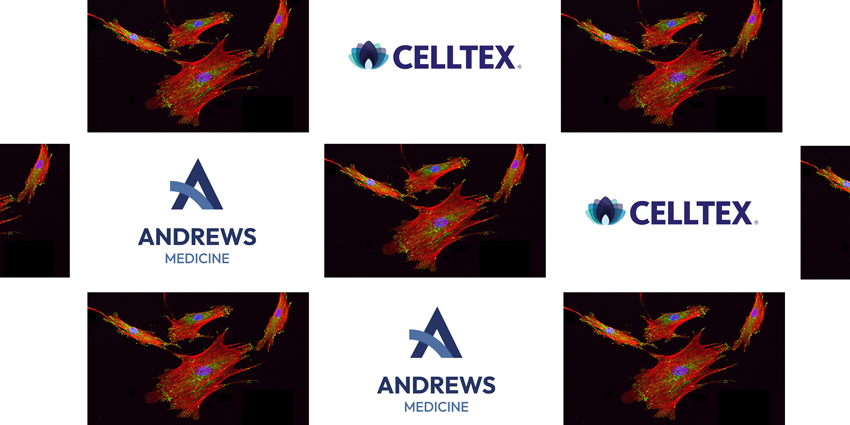 New Mesenchymal ‘Stem Cell’ Company Launched