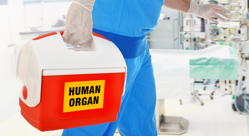 How Safe Are TJA for Organ Transplant Patients?