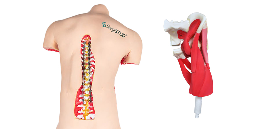 SurgiSTUD: A New Gold Standard for Surgical Training