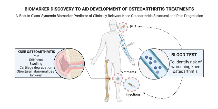 New Blood-Based Biomarkers Target OA