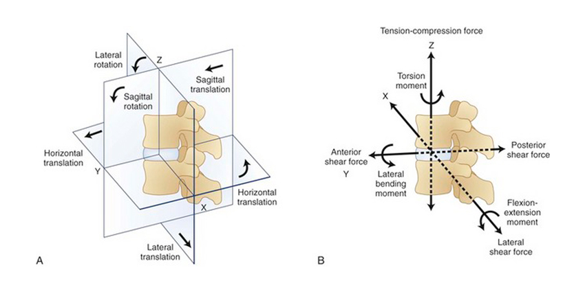 Back to Basics: What is Normal Segment Movement?