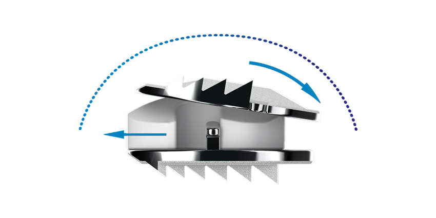 10-year Follow-Up Cervical Disc Arthroplasty Data (Level 1)