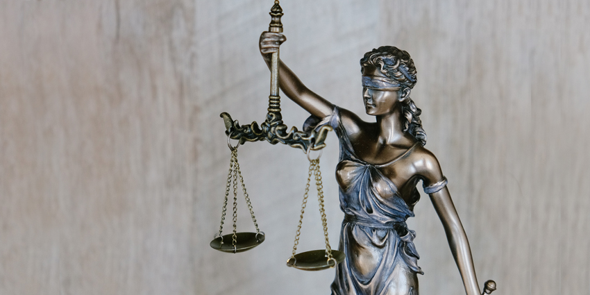 Allograft Litigation Moved Up to Federal Court