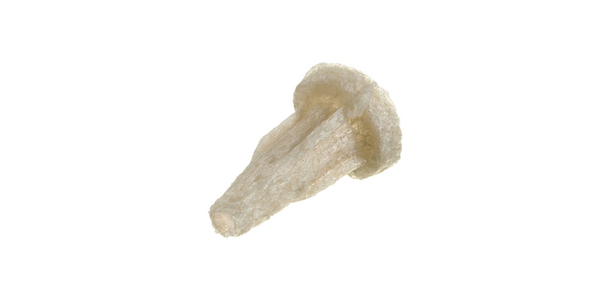 Bone Fiber Implant Awarded New Patent
