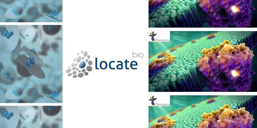 The Interesting Turn BMP2 Bone Grafting Is Taking