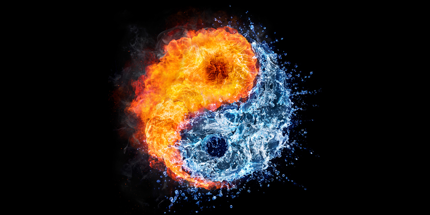 What’s Hot—and Not—in Spine Research?