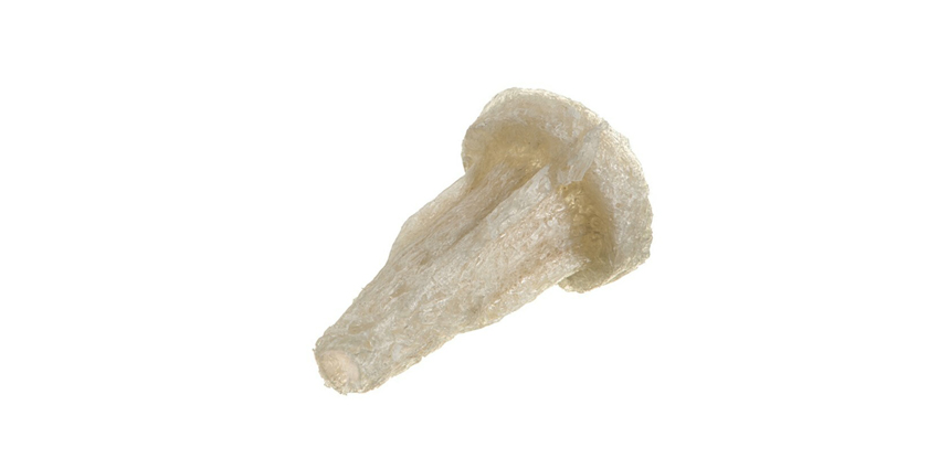 Fourth Patent Issued for Demineralized Bone Fiber Implants