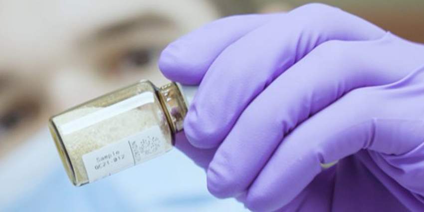 New Data for Novel Cell Based Bone Graft