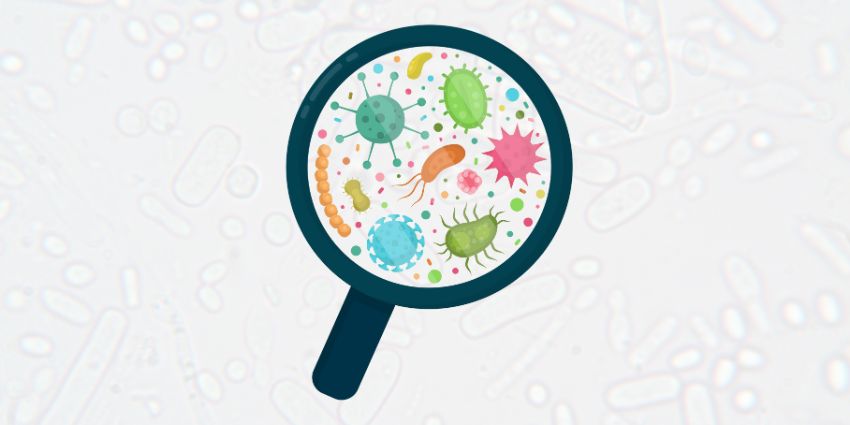 Predicting Reinfection – New Study