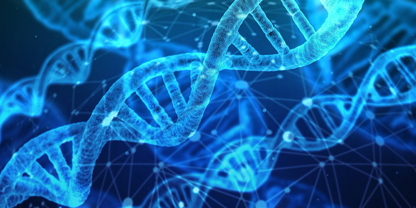 It’s West Coast vs East Coast in CRISPR Fight