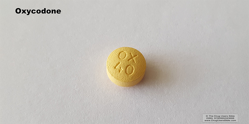 New Study Flips the Script on Opioid Advice