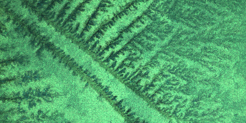 Next Gen Nano Scaffold Builds Bone and Bites Bugs