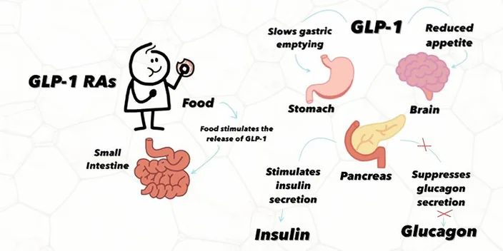 does semaglutide expire if refrigerated Compounded 2026: A Bariatric Surgeon's Guide Empower Pharmacy to open Inventory Count Dosage:3.6mg/10mg