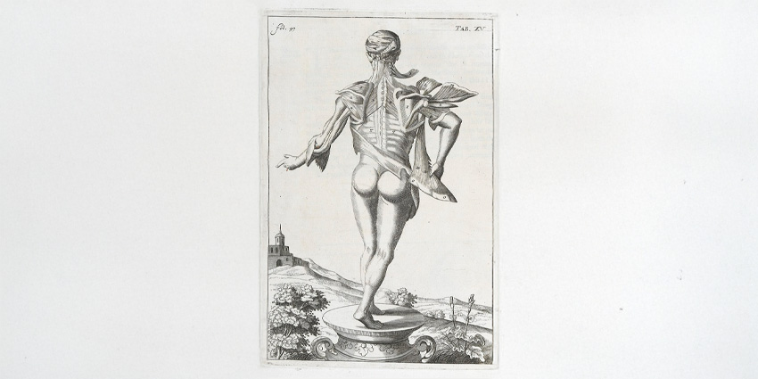 Paraspinal Muscles, Not Just Passengers on the Degen Journey