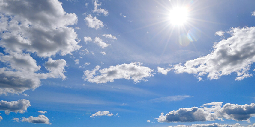 The Surprising Role of Vitamin D in Single-Level Fusion Outcomes