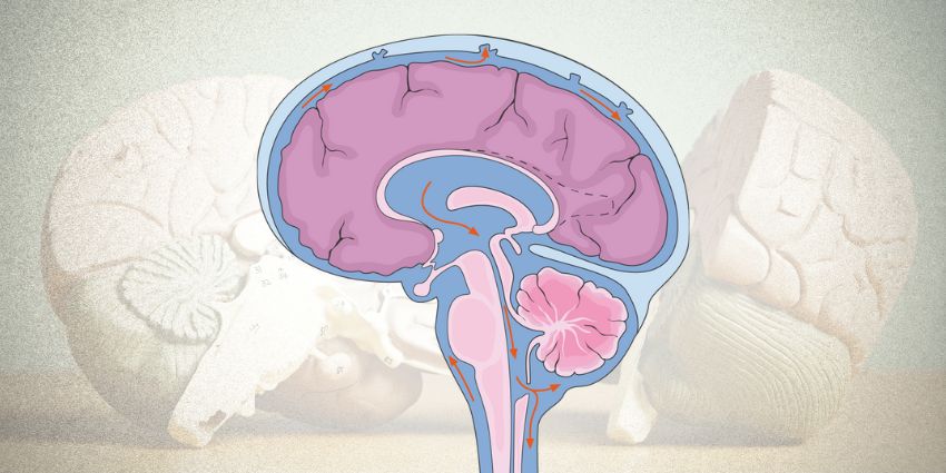 Biomarkers and Myelopathy: Is It All in Your Head…or Your CSF?