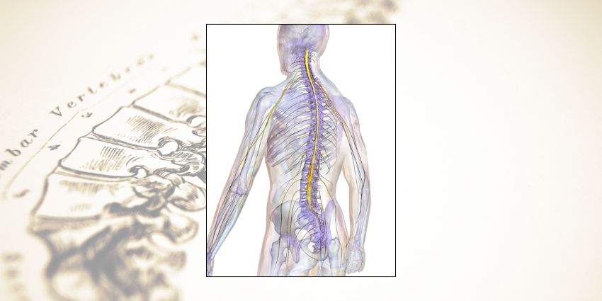 ACDF vs. Myelomalacia: The Comeback Story No One Expected
