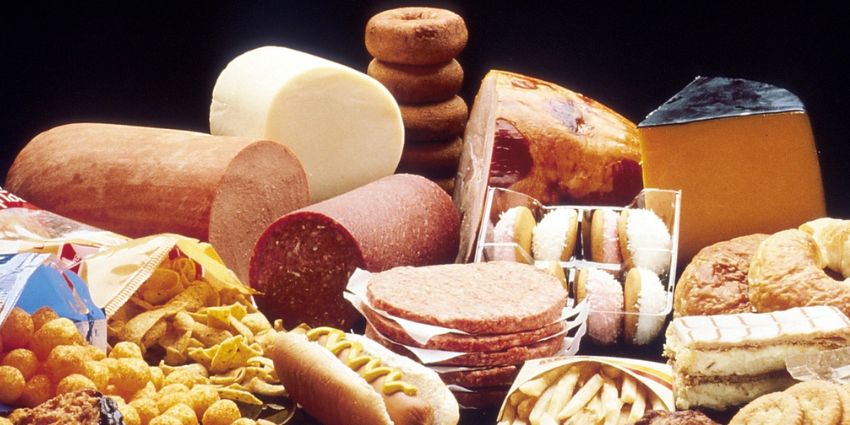 The Connection Between Cholesterol Levels and Fusion Rates
