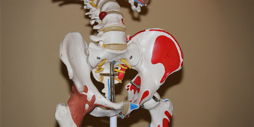 How S2AI Screws Reveal the Hip Joint’s Secret Life