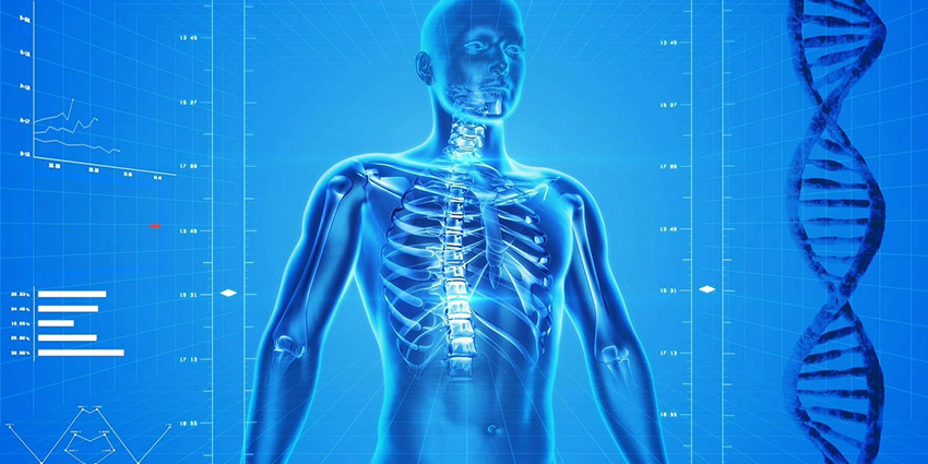 No More Manual Lumbar Spine Segmentation?