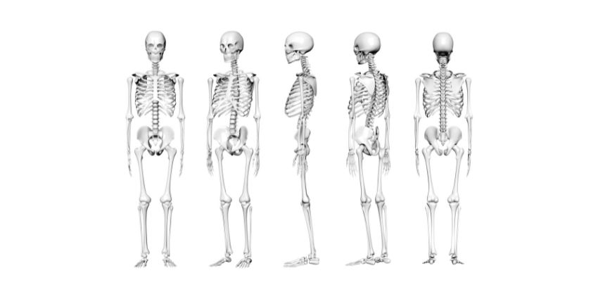 Frequency and Effect of Post-Op Roussouly Shape-Shifting