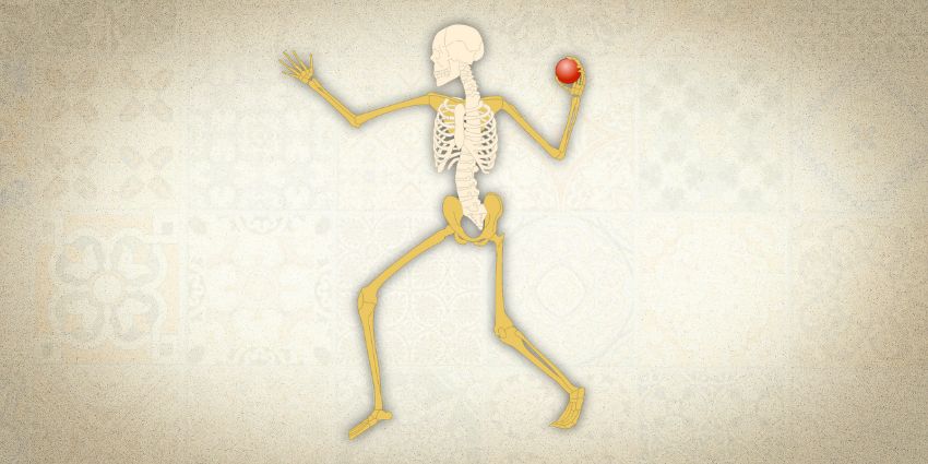 Why Are We Still Forgetting Bone Health After Spine Fractures?