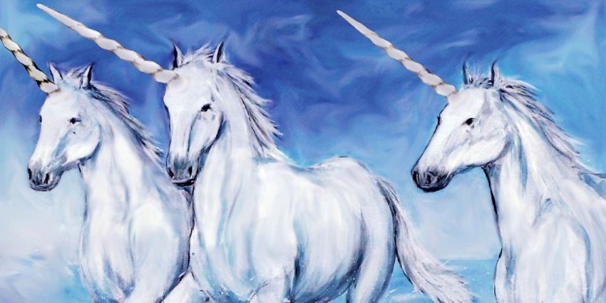 The Posterior Tension Band: Unicorn or Unsung Hero?