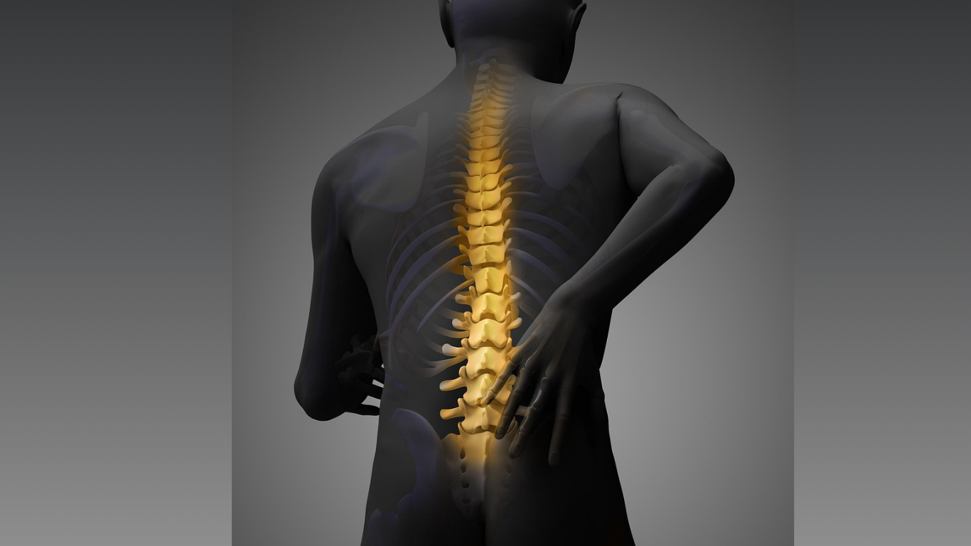 When the Psoas Whispers: Sarcopenia and the Clock You Can’t See