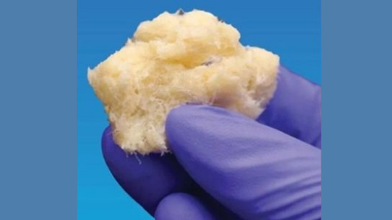 MTF Biologics® and Kolosis BIO® Launch the Latest Addition to the DBX Family: DBX® Fiber