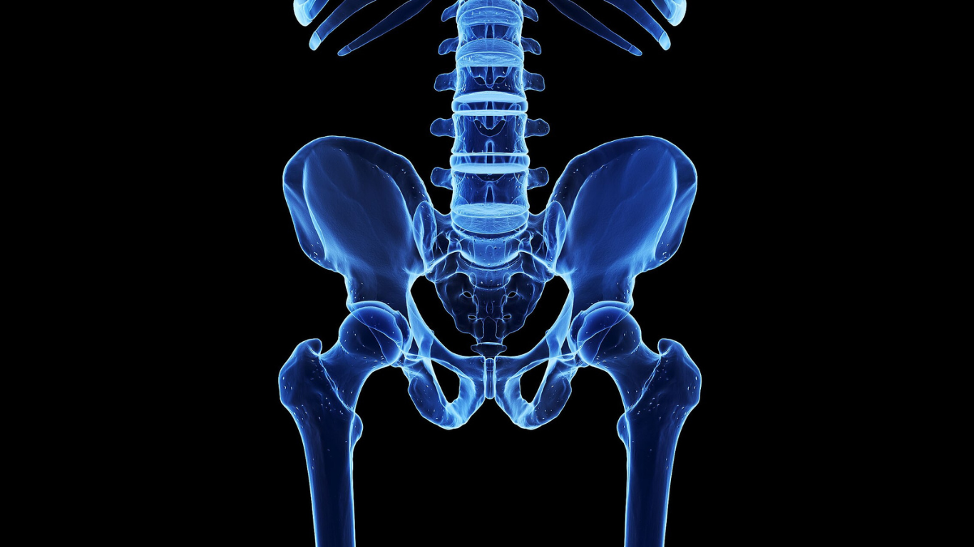 Femoral Head Allografts: Relief Now, Replacement Later?